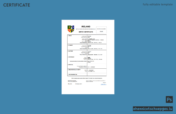 Irische Geburtsurkunde – Beispielvorschau in Word und PDF